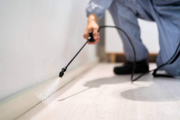 Licensed Pest Control service in South Milwaukee, WI - Show Me Pest Control