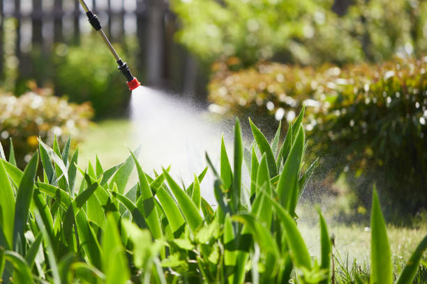 24/7 Emergency Wasp Removal experts in South Milwaukee, WI