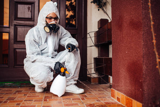 Reliable Wasp Removal contractor in South Milwaukee, WI by Show Me Pest Control
